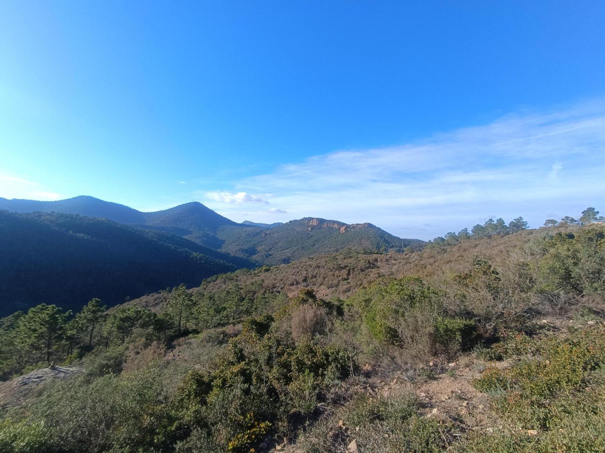 3p Traversant Vue Et Foret - Les Cles De L'esterel Apartamento
